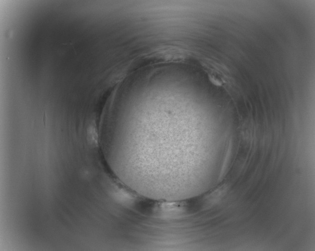 X0000068750622200605051541