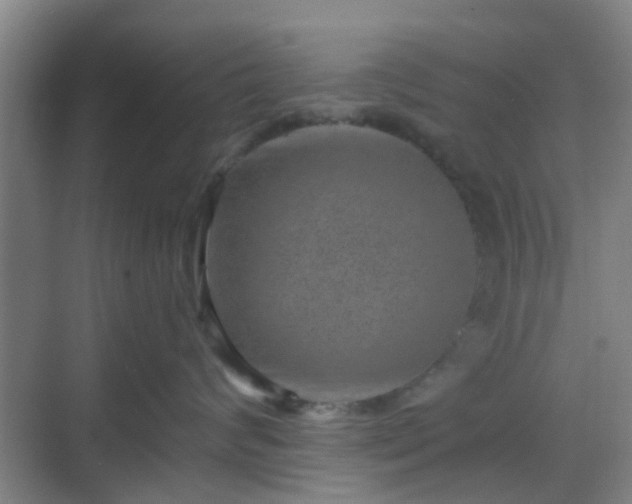 X0000068750624200605051541