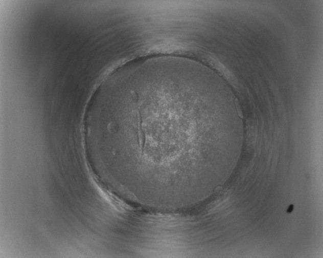 X0000068750626200605051541