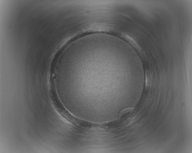 X0000068750627200605051541