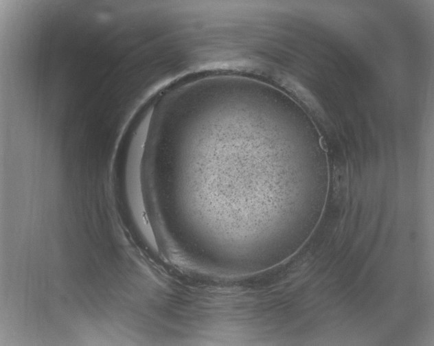 X0000068750628200605051541