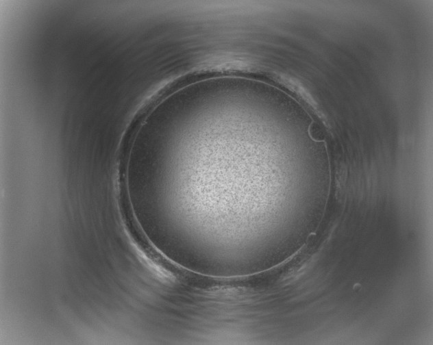 X0000068750629200605051541