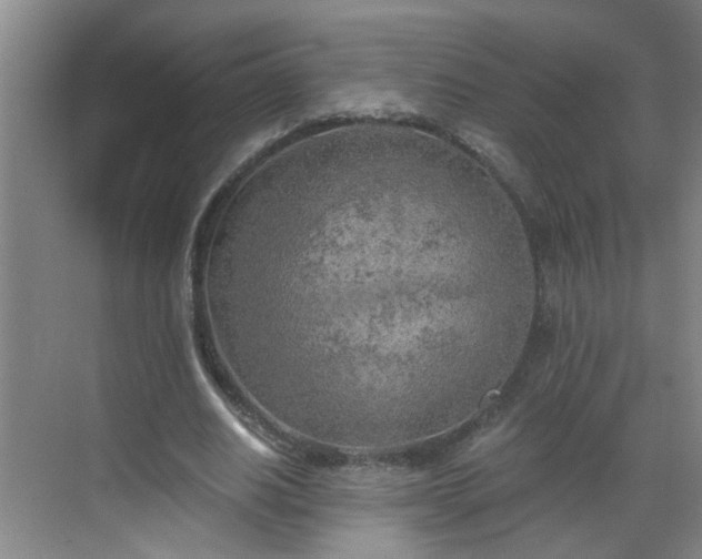 X0000068750630200605051541