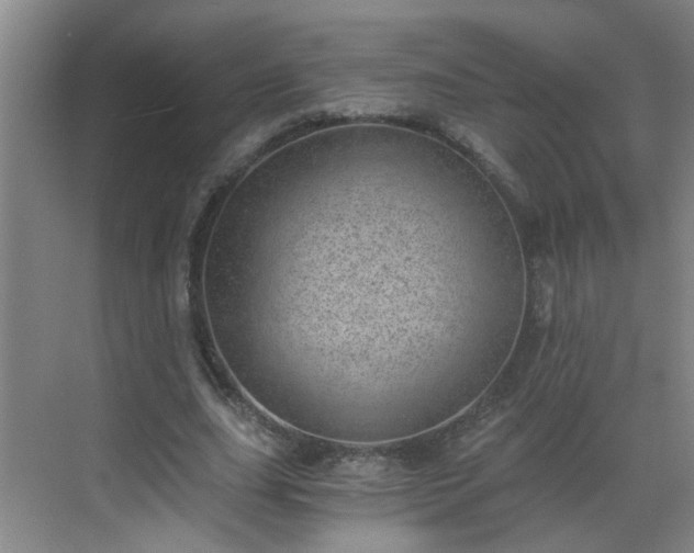 X0000068750631200605051541