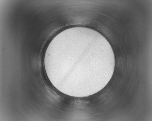 X0000068750632200605051541