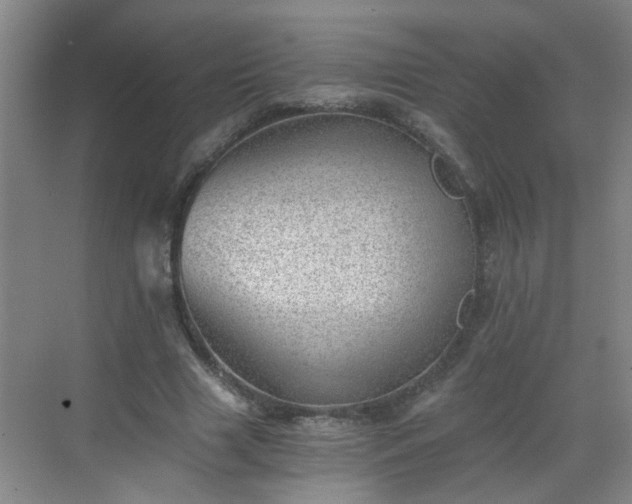 X0000068750633200605051541