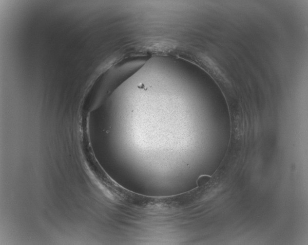 X0000068750634200605051541