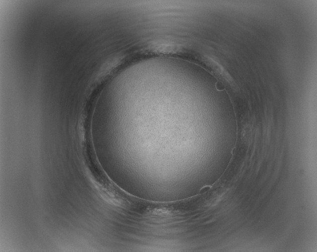 X0000068750635200605051541