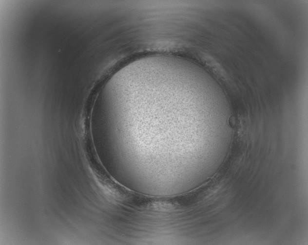 X0000068750636200605051541