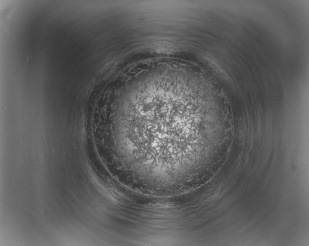 X0000068750639200605051541