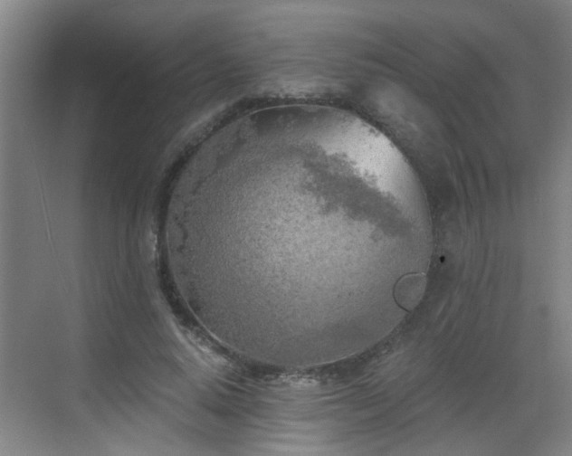 X0000068750640200605051541