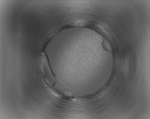 X0000068750641200605051541