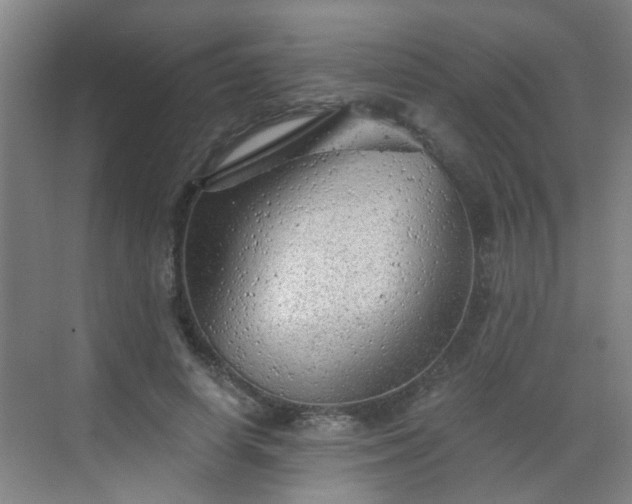 X0000068750642200605051541