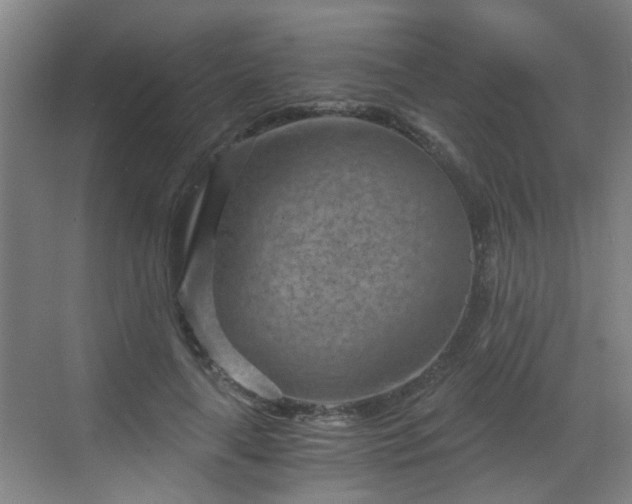 X0000068750643200605051541