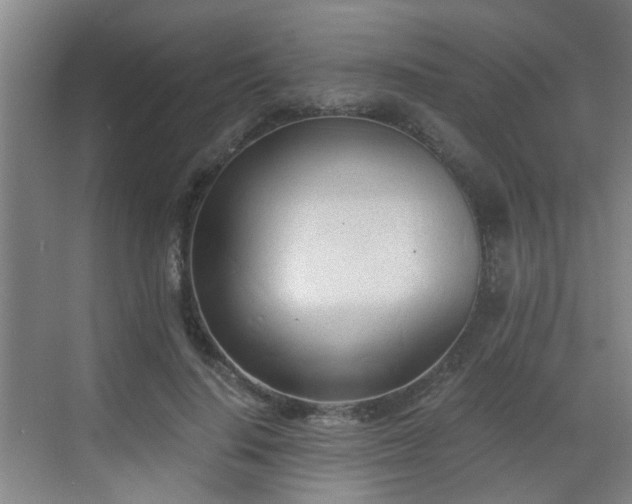 X0000068750644200605051541