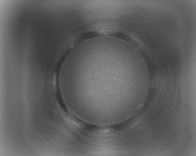 X0000068750646200605051541