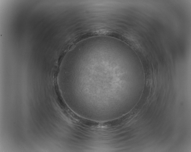 X0000068750647200605051541