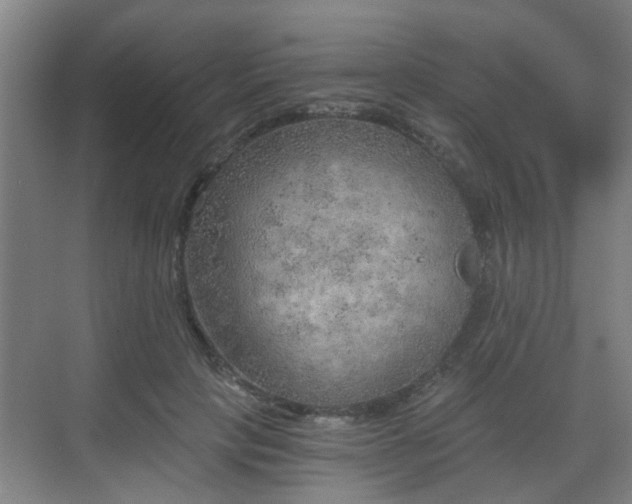 X0000068750649200605051541