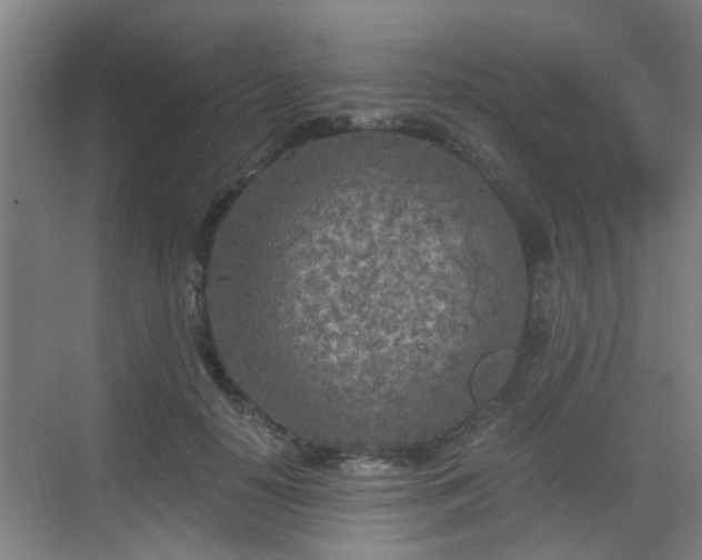 X0000068750650200605051541