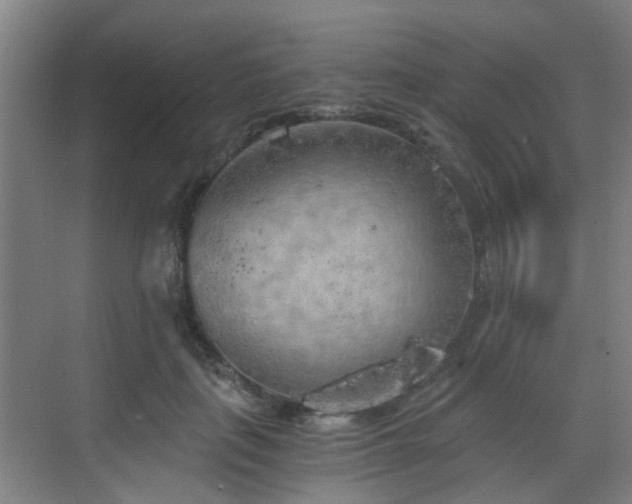 X0000068750651200605051541