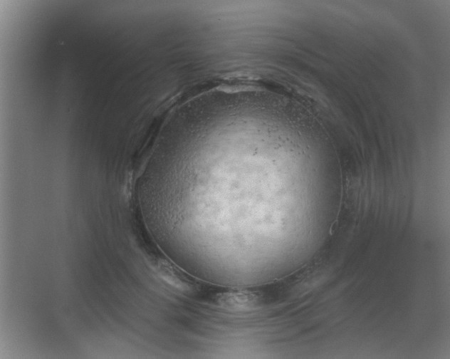 X0000068750652200605051541