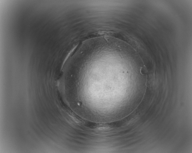 X0000068750653200605051541