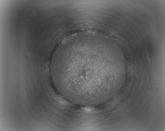 X0000068750654200605051541