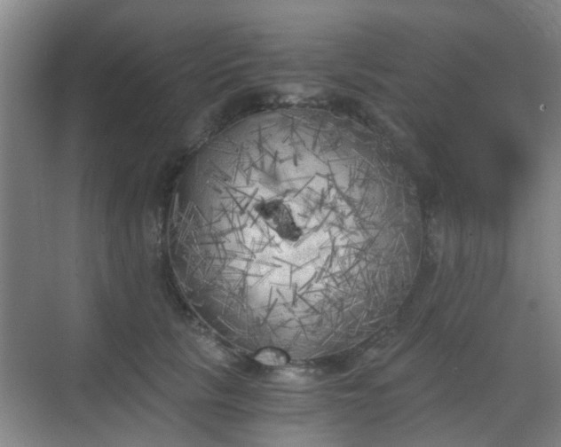 X0000068750657200605051541