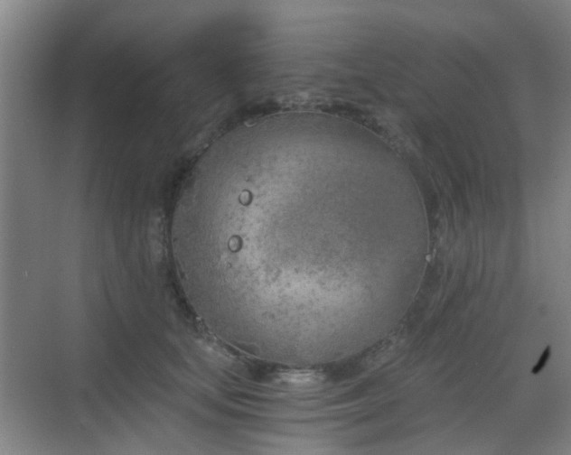 X0000068750659200605051541