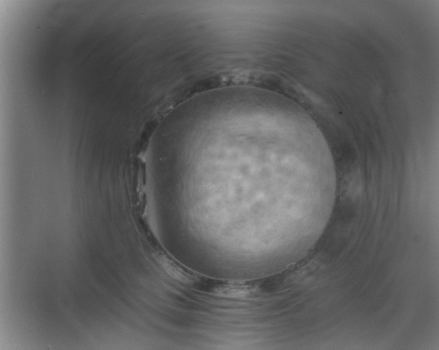 X0000068750661200605051541