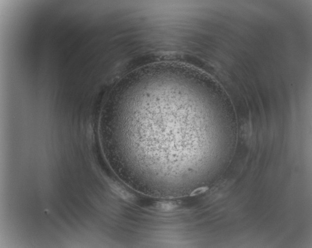 X0000068750662200605051541