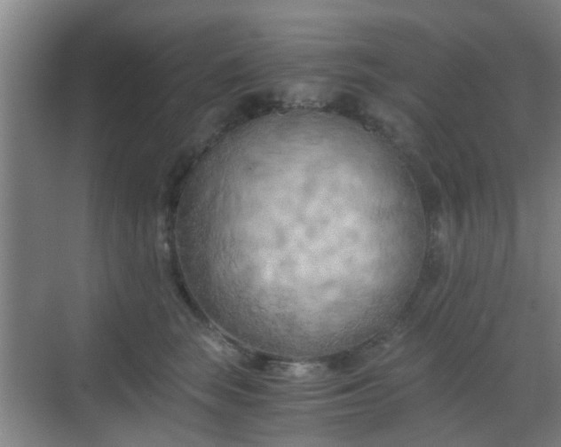 X0000068750663200605051541