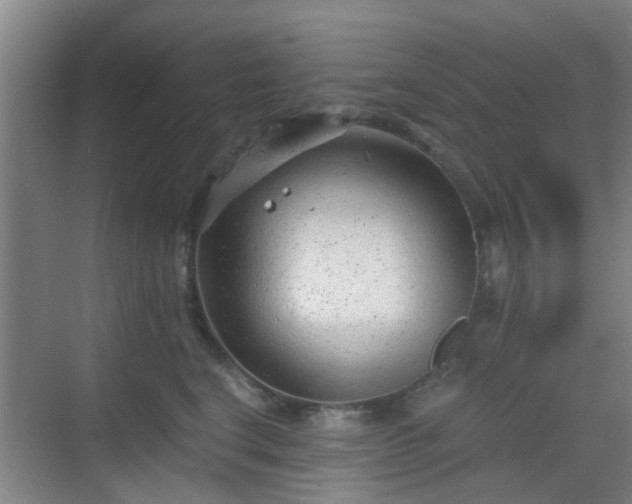 X0000068750664200605051541