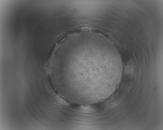 X0000068750666200605051541