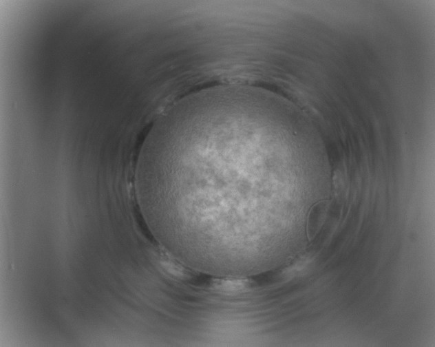 X0000068750671200605051541