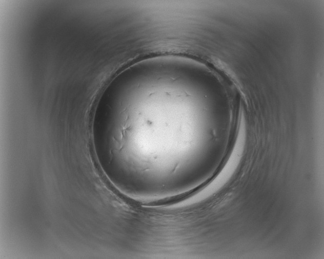 X0000068750673200605051541