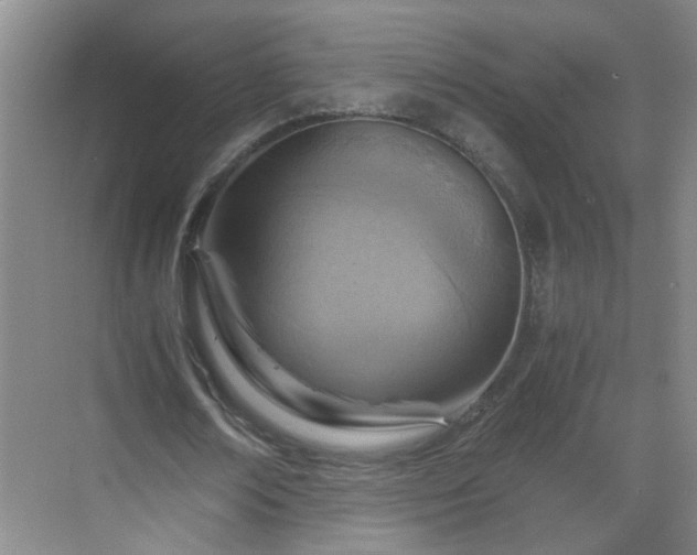 X0000068750674200605051541