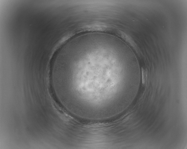 X0000068750675200605051540