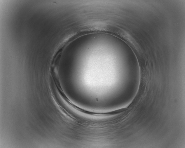 X0000068750677200605051540