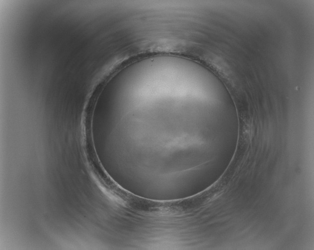 X0000068750678200605051540