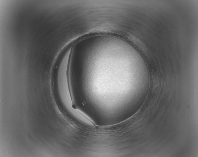 X0000068750680200605051540