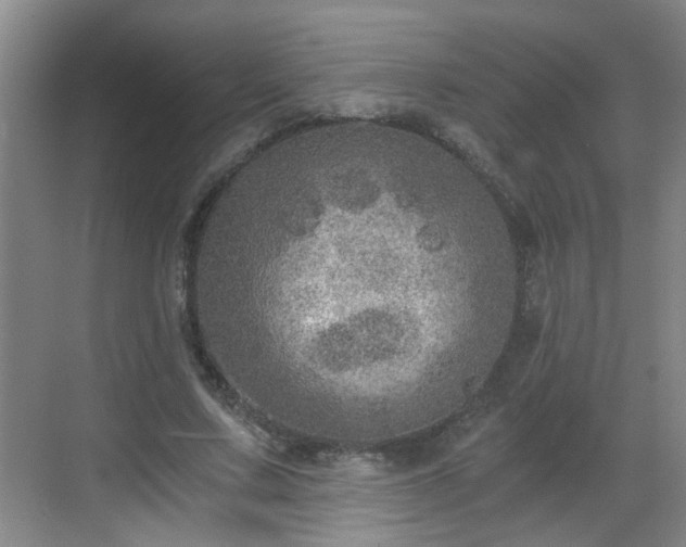 X0000068750683200605051540