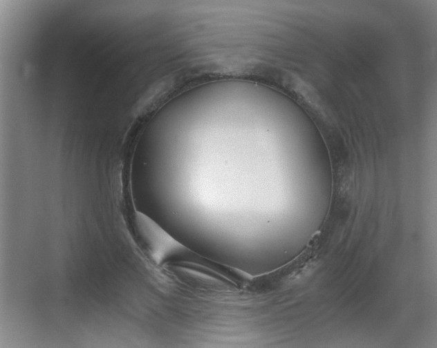 X0000068750685200605051540