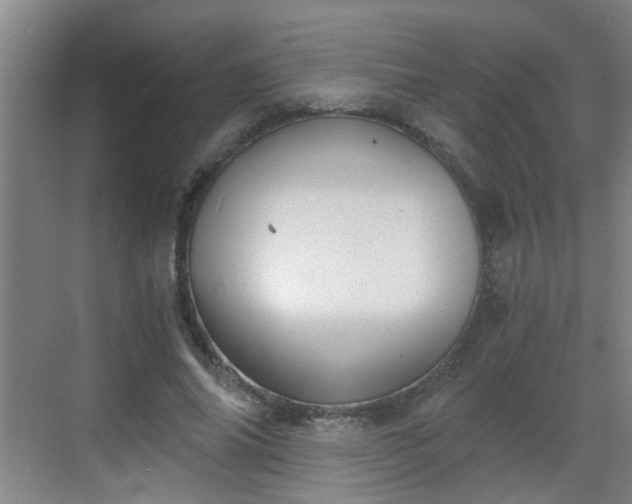 X0000068750686200605051540