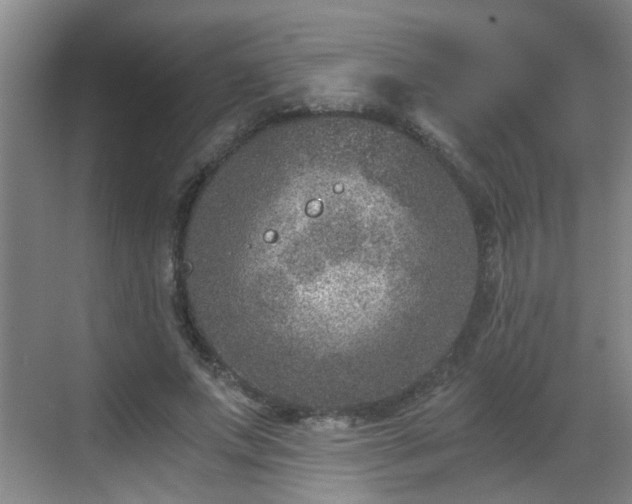 X0000068750687200605051540