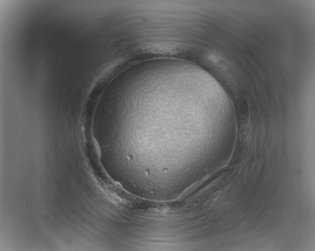 X0000068750688200605051540