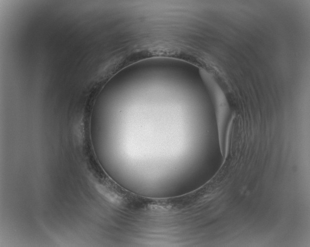 X0000068750690200605051540