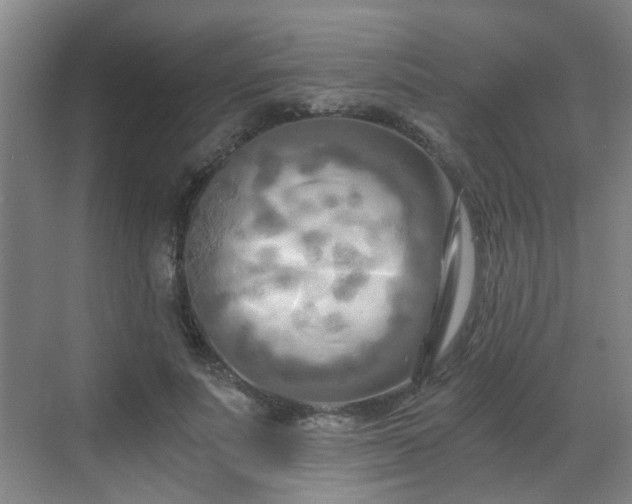 X0000068750691200605051540