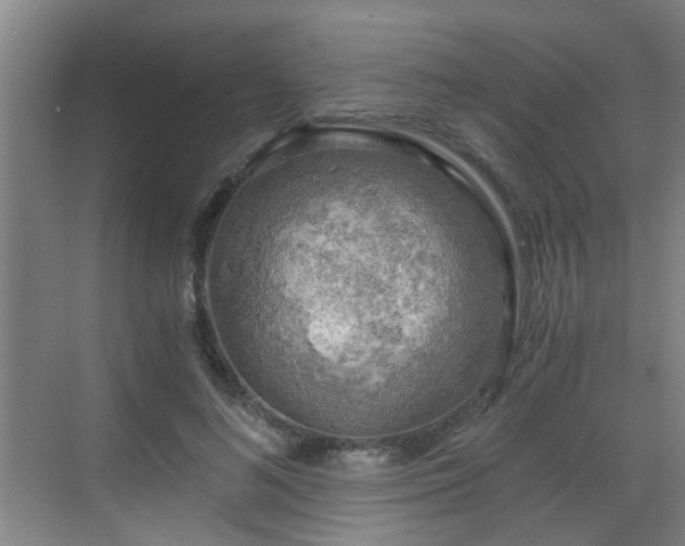 X0000068750692200605051540