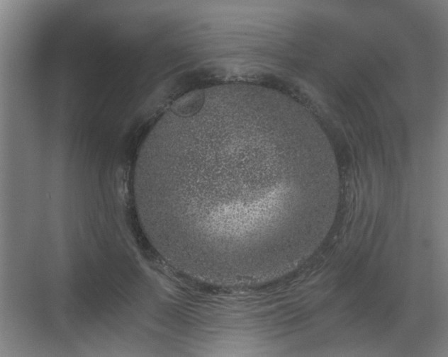 X0000068750695200605051540